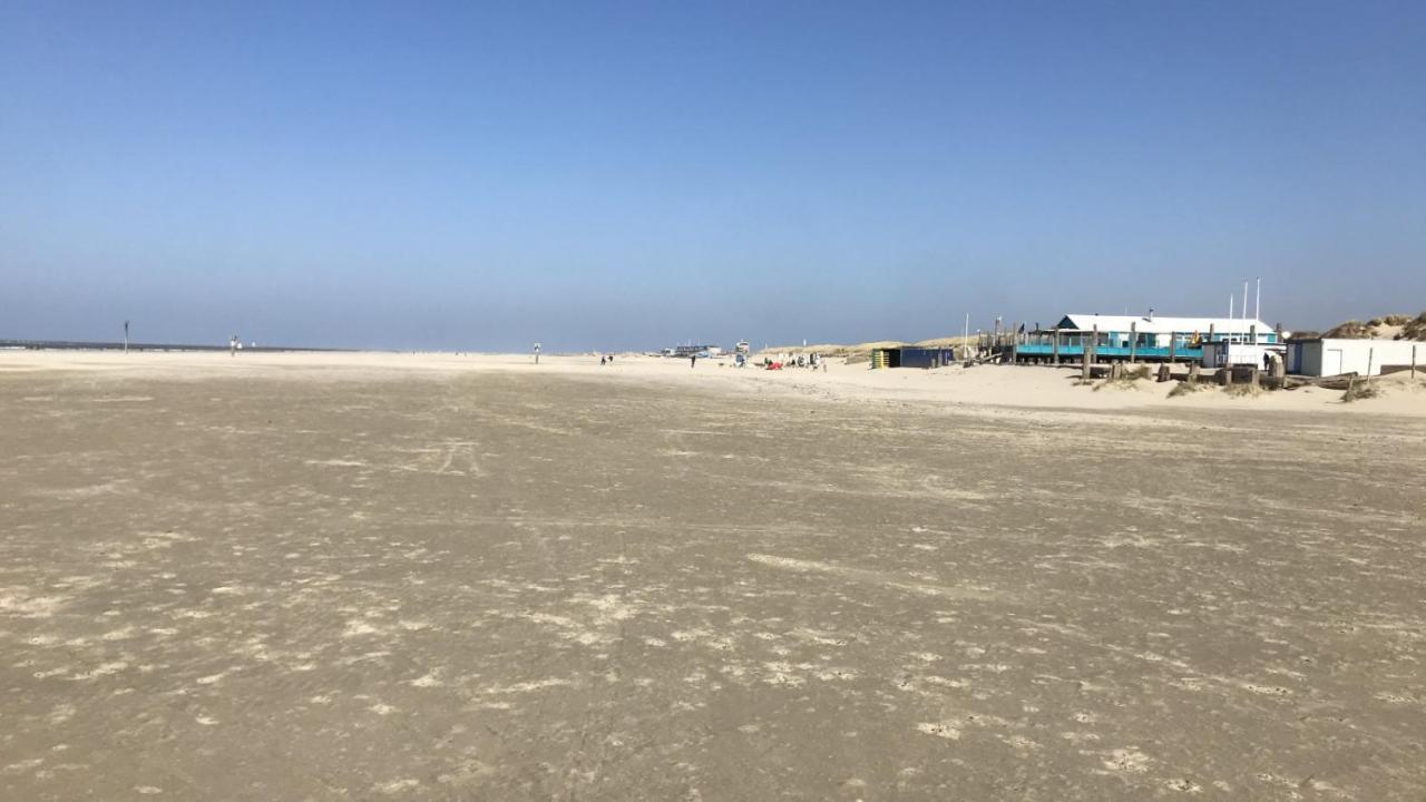 Chalet Playa Direct Aan Zee In Ijmuiden Exterior foto